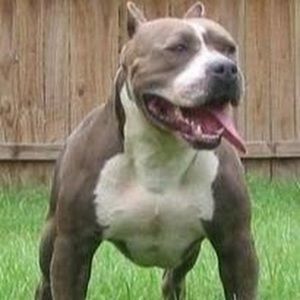 Meet your Posher, Eric s